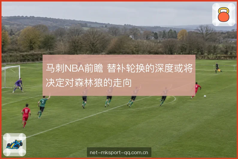 内线护框与篮板争夺 内线护框与篮板争夺